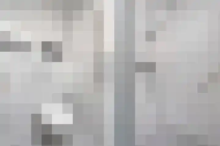Bosrand 8 Dwingeloo thumbnail 31