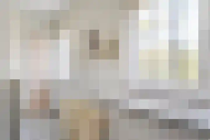 Bosrand 8 Dwingeloo thumbnail 32