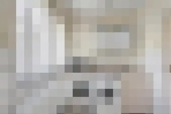 Bosrand 8 Dwingeloo thumbnail 33