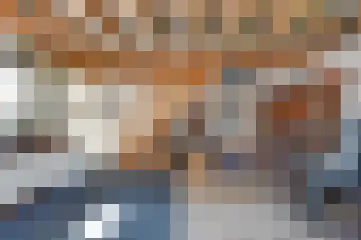Bosrand 8 Dwingeloo thumbnail 37