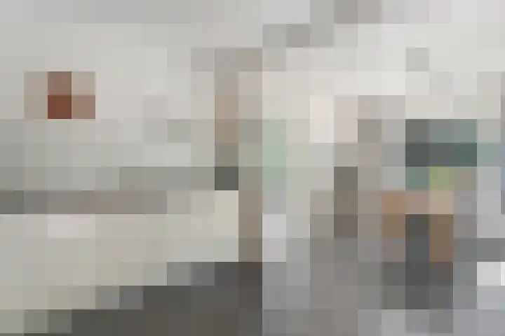 Bosrand 8 Dwingeloo thumbnail 4