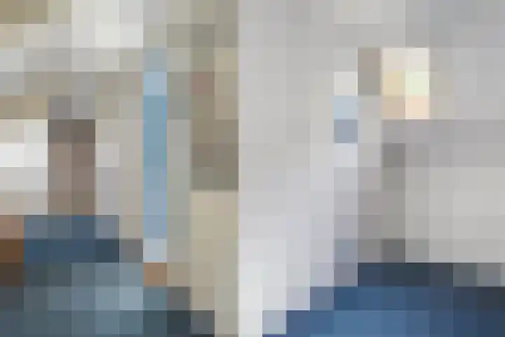 Bosrand 8 Dwingeloo thumbnail 40