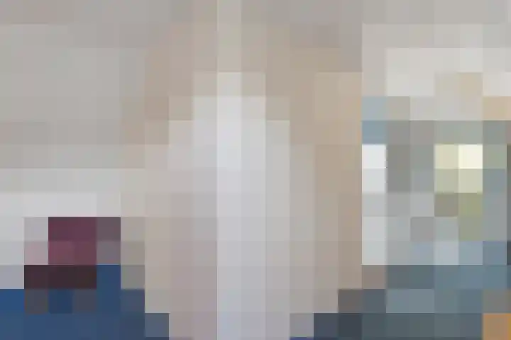 Bosrand 8 Dwingeloo thumbnail 41