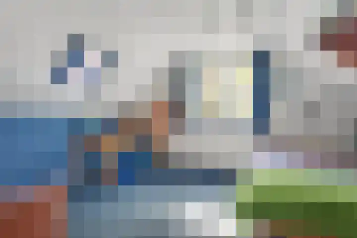 Bosrand 8 Dwingeloo thumbnail 42