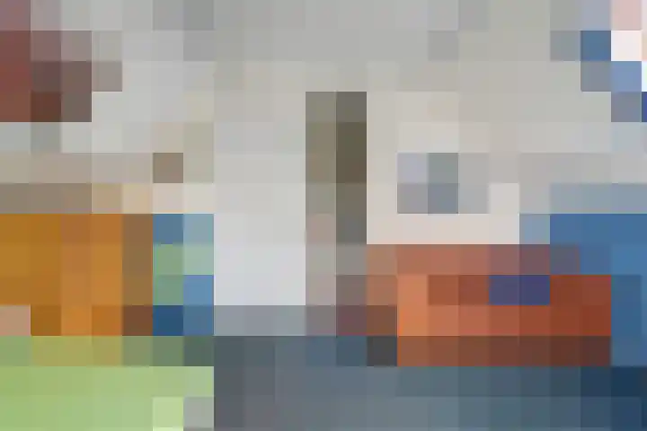 Bosrand 8 Dwingeloo thumbnail 43