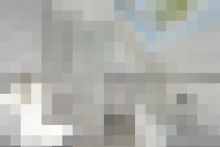 Bosrand 8 Dwingeloo thumbnail 44