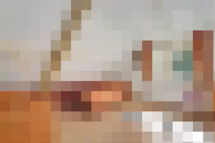 Bosrand 8 Dwingeloo thumbnail 47