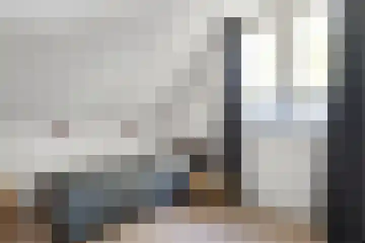 Bosrand 8 Dwingeloo thumbnail 49