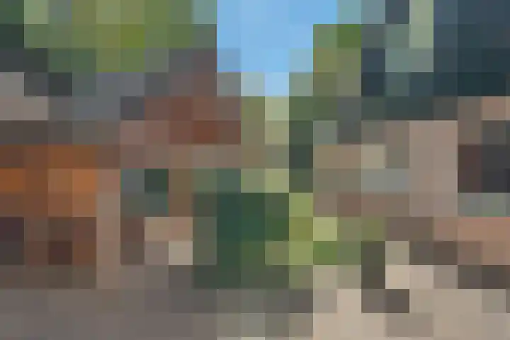 Bosrand 8 Dwingeloo thumbnail 51