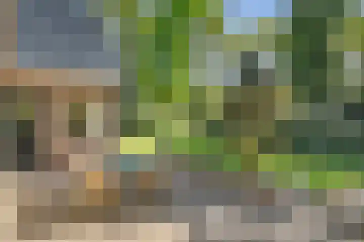 Bosrand 8 Dwingeloo thumbnail 55