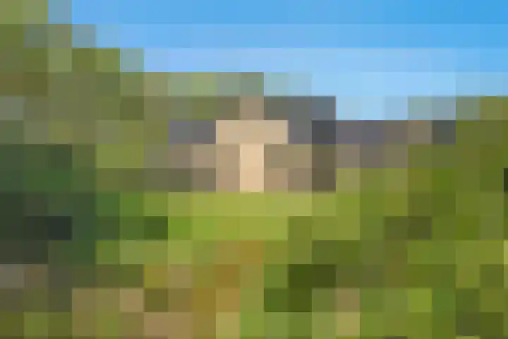 Bosrand 8 Dwingeloo thumbnail 57