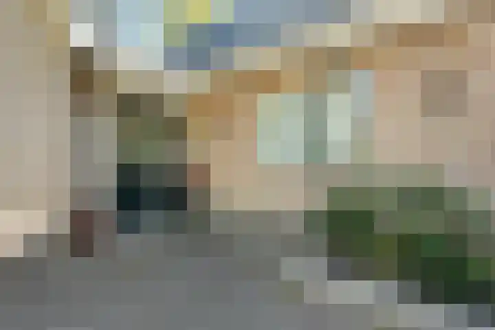Bosrand 8 Dwingeloo thumbnail 60