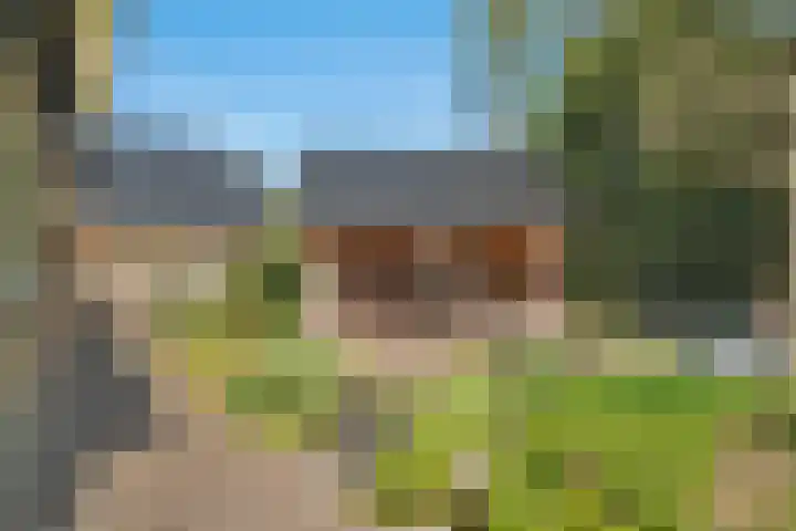Bosrand 8 Dwingeloo thumbnail 61