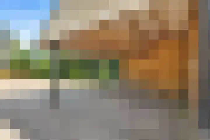 Bosrand 8 Dwingeloo thumbnail 62