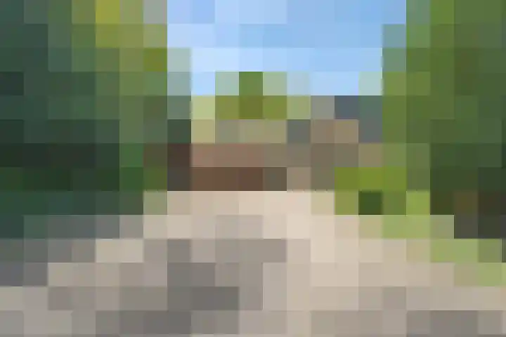 Bosrand 8 Dwingeloo thumbnail 63