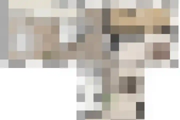 Bosrand 8 Dwingeloo thumbnail 67