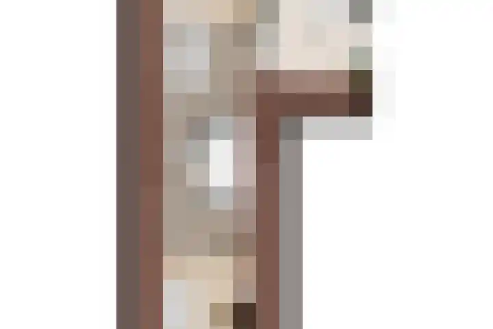 Bosrand 8 Dwingeloo thumbnail 68