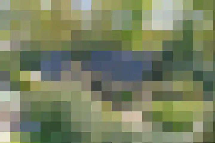 Bosrand 8 Dwingeloo thumbnail 7