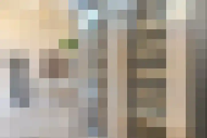 Bosrand 85 Geldrop thumbnail 29
