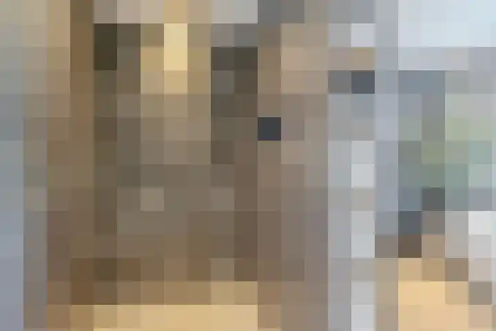 Bosrand 85 Geldrop thumbnail 40