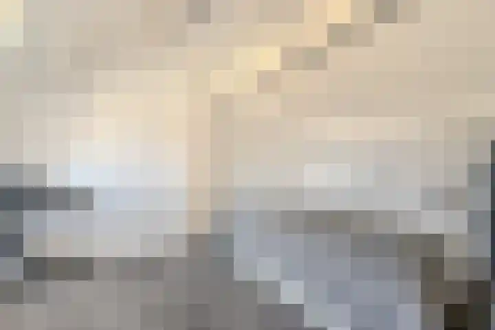 Bosrand 85 Geldrop thumbnail 43