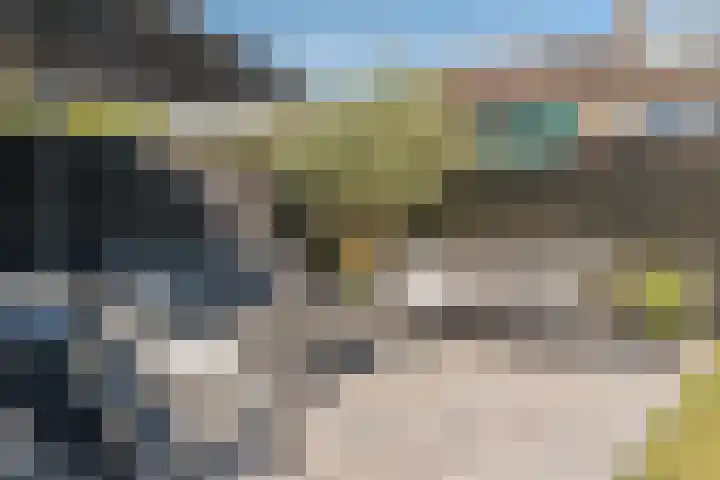 Bosrand 85 Geldrop thumbnail 47