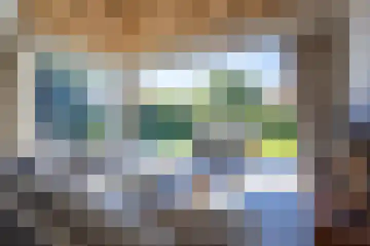Bosrandweg 409 B De Koog thumbnail 4