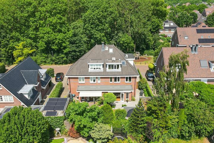 Bosrank 20 in 's-Gravenhage foto