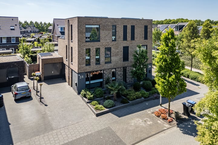 Bosrank 28 in Assen foto