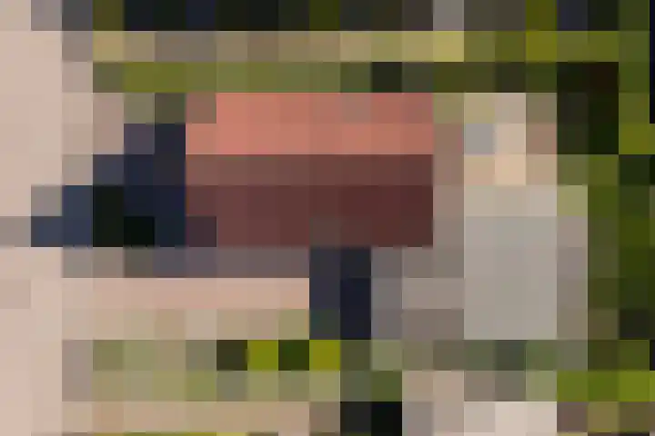 Bosrank 32 in Heiloo