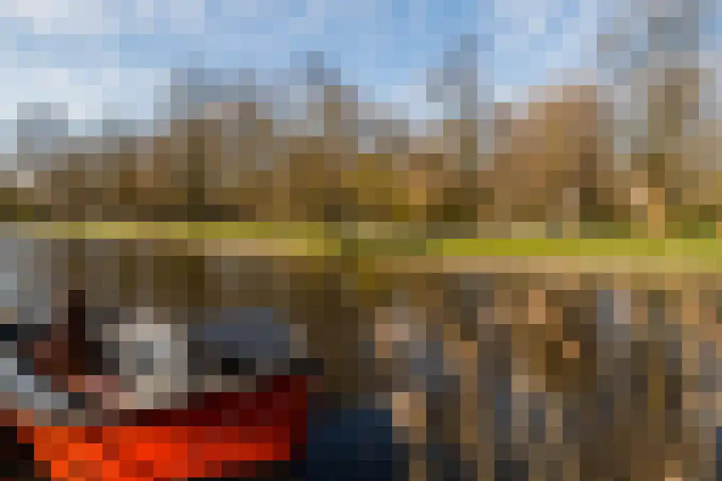 Bosrank 5 Cuijk thumbnail 11