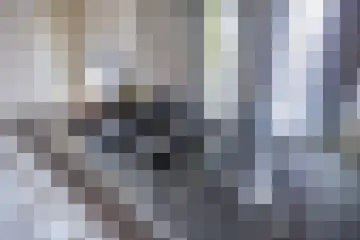 Bosrank 5 Cuijk thumbnail 13