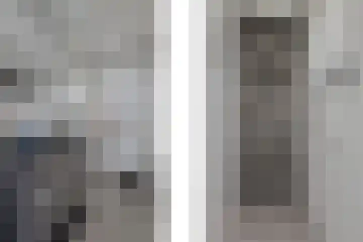 Bosrank 5 Cuijk foto 2