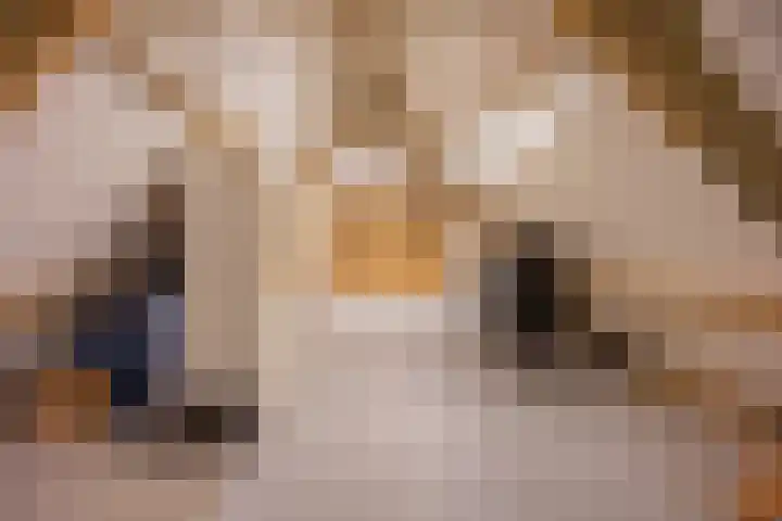 Bosrank 5 Cuijk thumbnail 27