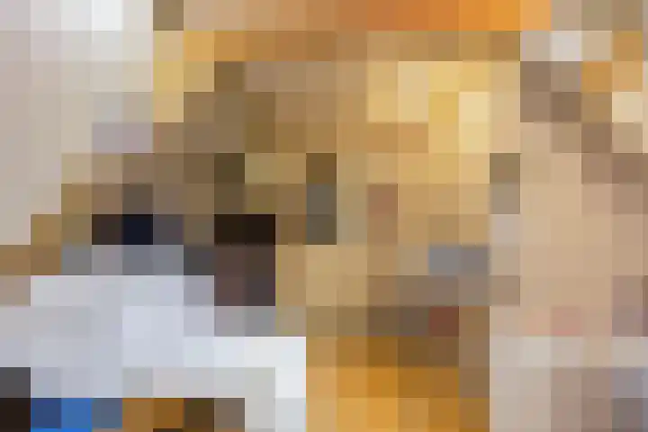 Bosrank 5 Cuijk thumbnail 30