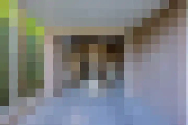 Bosrank 5 Cuijk thumbnail 31