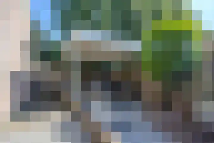 Bosrank 5 Cuijk thumbnail 34