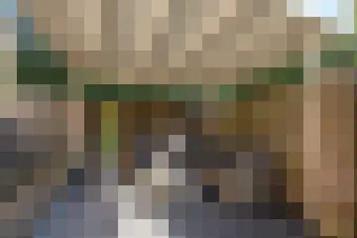 Bosrank 5 Cuijk thumbnail 35
