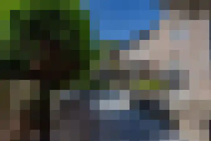 Bosrank 5 Cuijk thumbnail 36