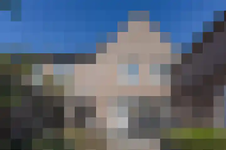 Bosrank 5 Cuijk thumbnail 39