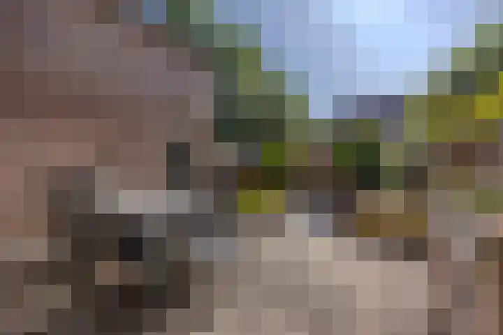 Bosrank 5 Cuijk thumbnail 40