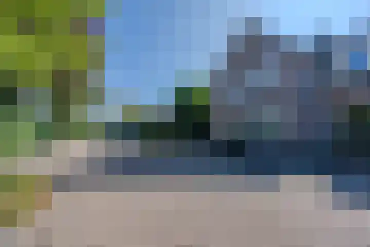 Bosrank 5 Cuijk thumbnail 41