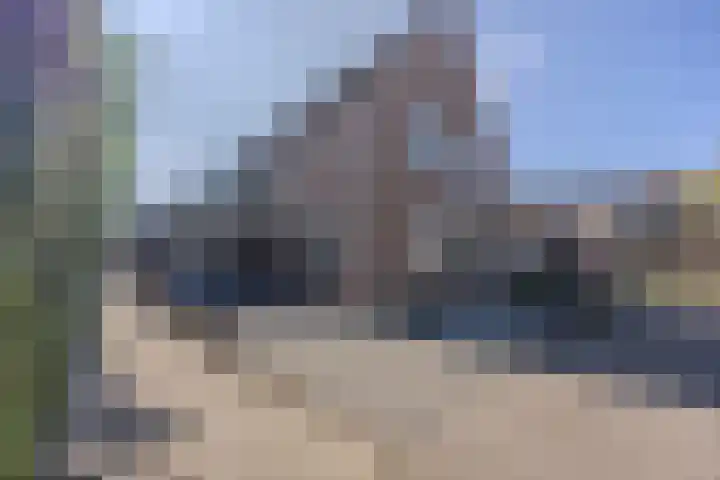 Bosrank 5 Cuijk thumbnail 42