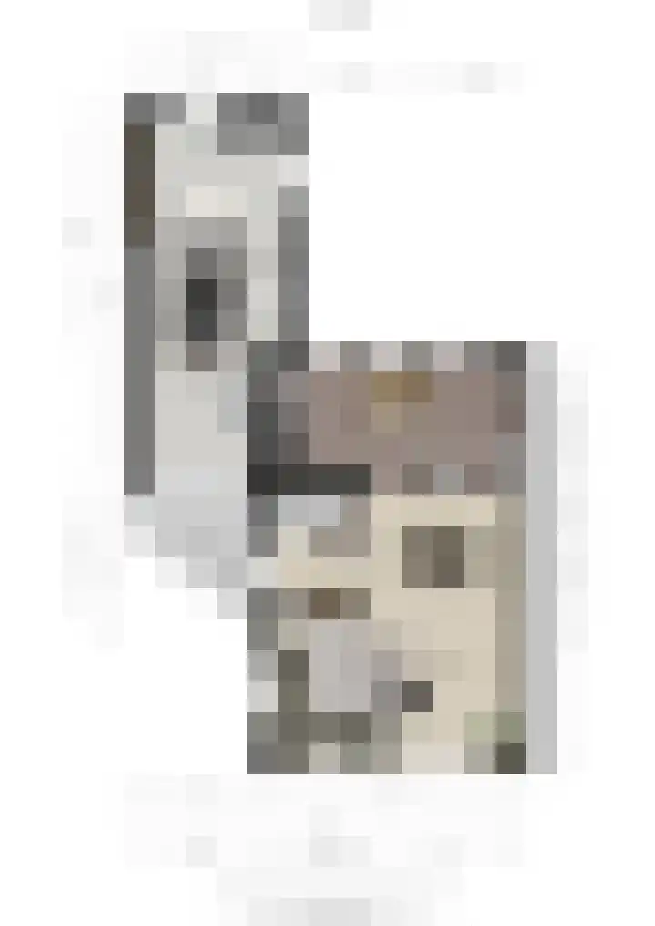 Bosrank 5 Cuijk thumbnail 43
