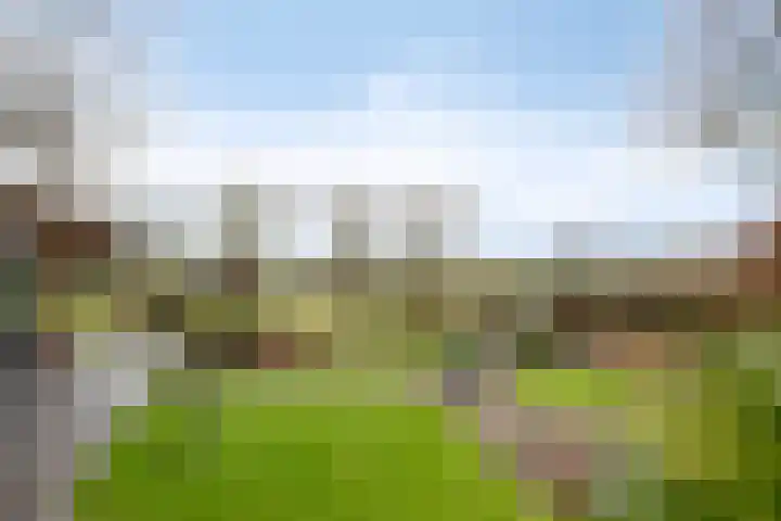 Bosrank 5 Cuijk thumbnail 45