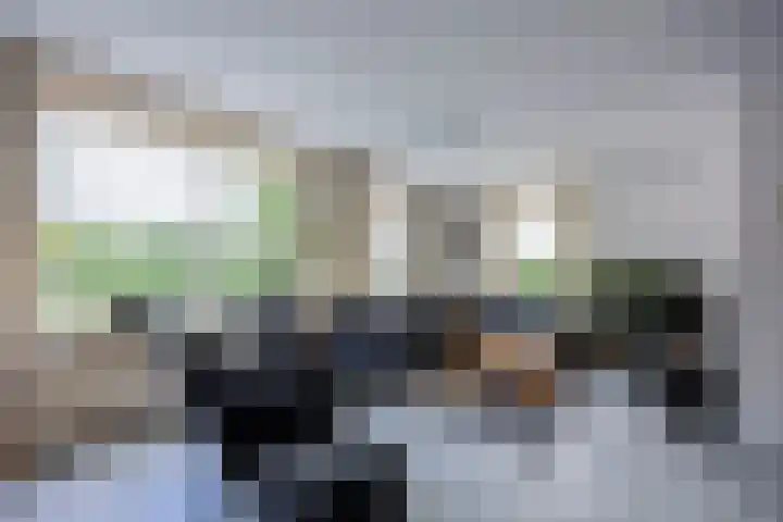 Bosrank 5 Cuijk thumbnail 6