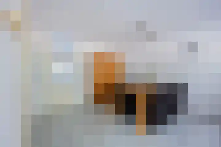 Bosrank 5 Cuijk thumbnail 8
