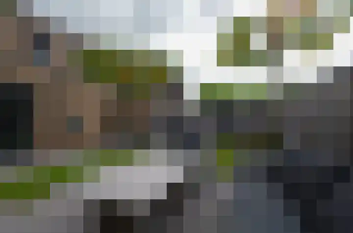 Bosrank 50 Assen thumbnail 31