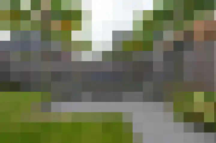 Bosrank 50 Assen thumbnail 33