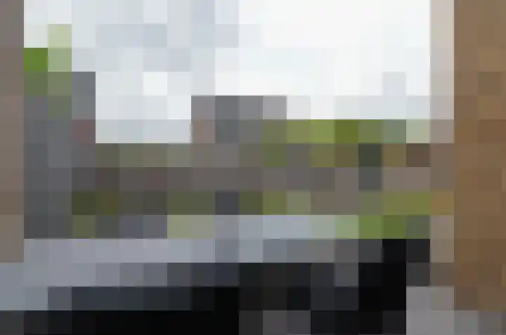 Bosrank 50 Assen thumbnail 35